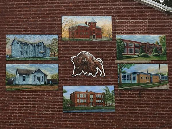 6 pictures of old school buildings in Georgetown and a buffalo is in the center against a brick wall background